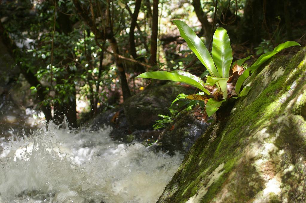Bellthorpe Stays Maleny Exterior photo