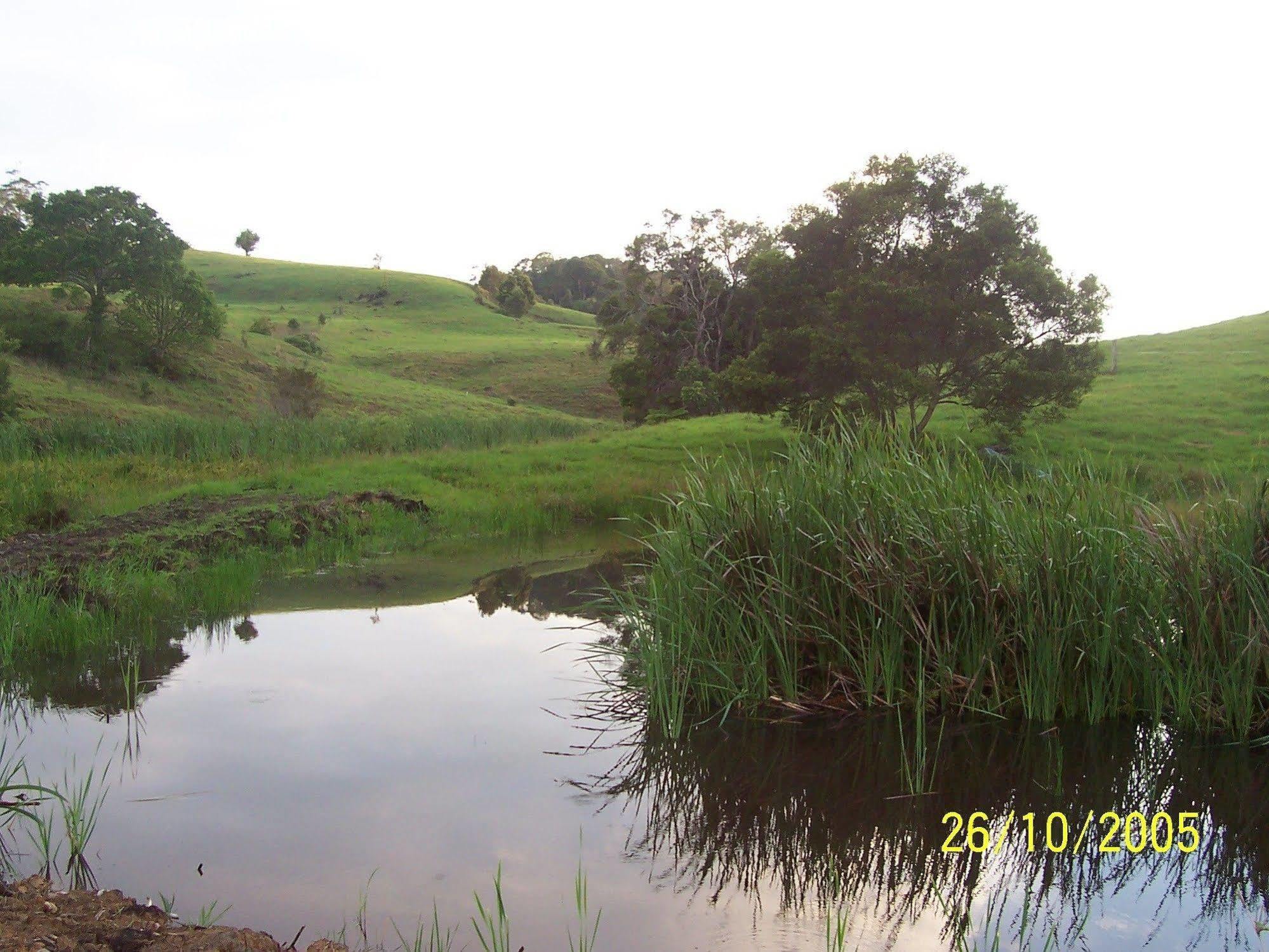 Bellthorpe Stays Maleny Exterior photo